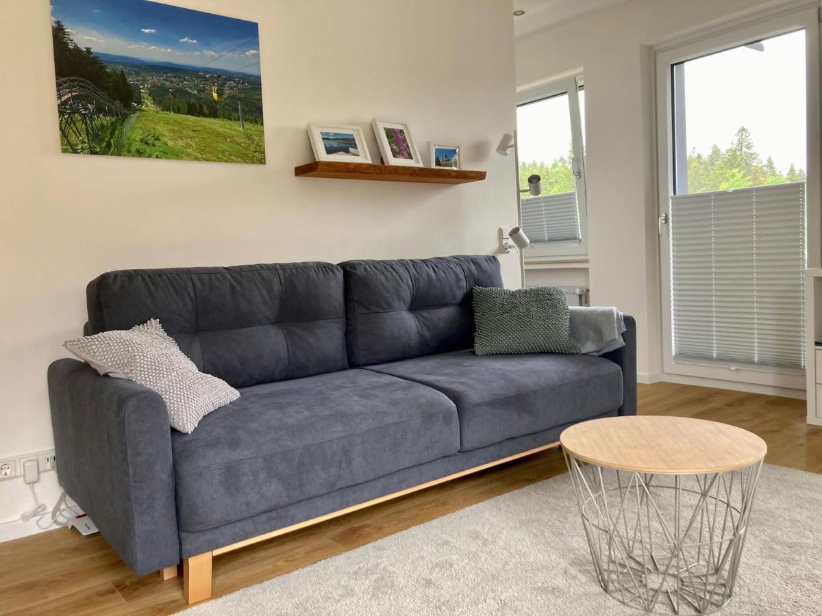 Hahnenklee Charme - Moderne Neue Ferienwohnung Mit 2 Balkons Goslar Buitenkant foto