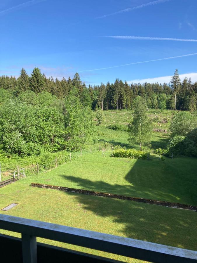 Hahnenklee Charme - Moderne Neue Ferienwohnung Mit 2 Balkons Goslar Buitenkant foto